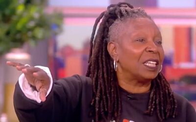 ‘The View’ – From Legal Notes to Blaming the Family Cat