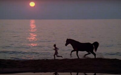 ‘Black Stallion’ Remains the ‘Citizen Kane’ of Equestrian Films